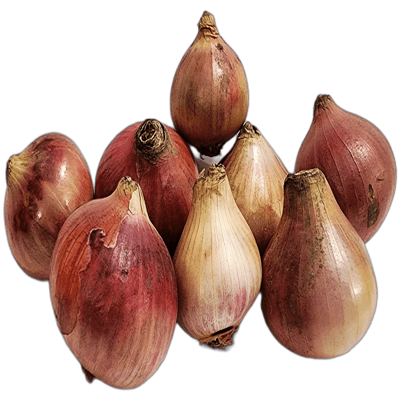 প্রিমিয়াম দেশি পেঁয়াজ - ঝাঁঝালো ও ফ্রেশ (Premium Local Onion)