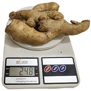 China Ada (Imported Ginger) ± 25 gm