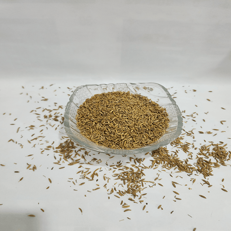 Premium Whole Cumin (খাঁটি আস্ত জিরা) - Fresh & Aromatic