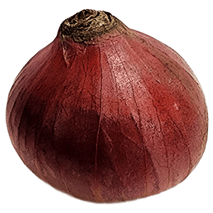 প্রিমিয়াম দেশি পেঁয়াজ - ঝাঁঝালো ও ফ্রেশ (Premium Local Onion)